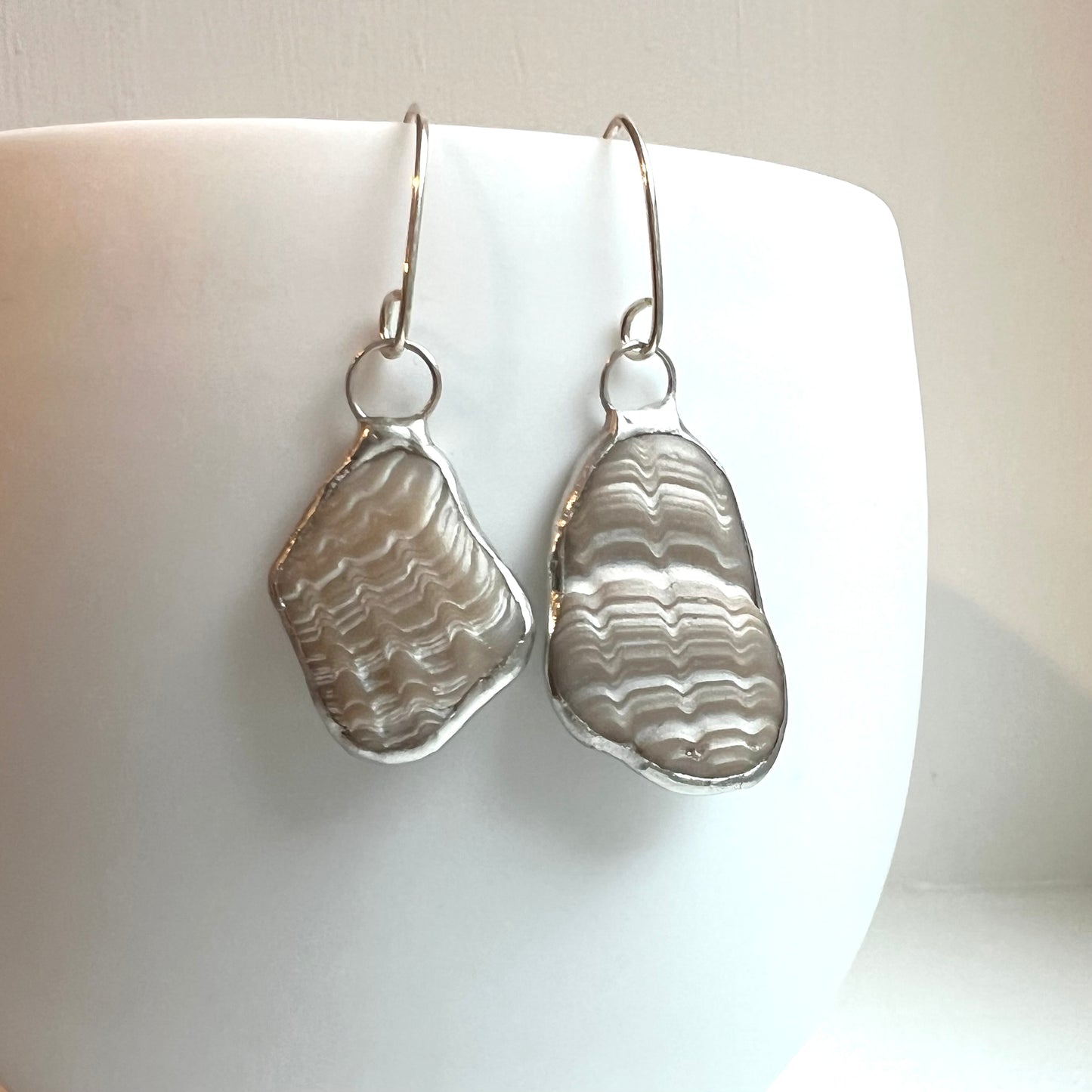 Tiffany Soldered Oregon Coast Shell Fossil Earrings