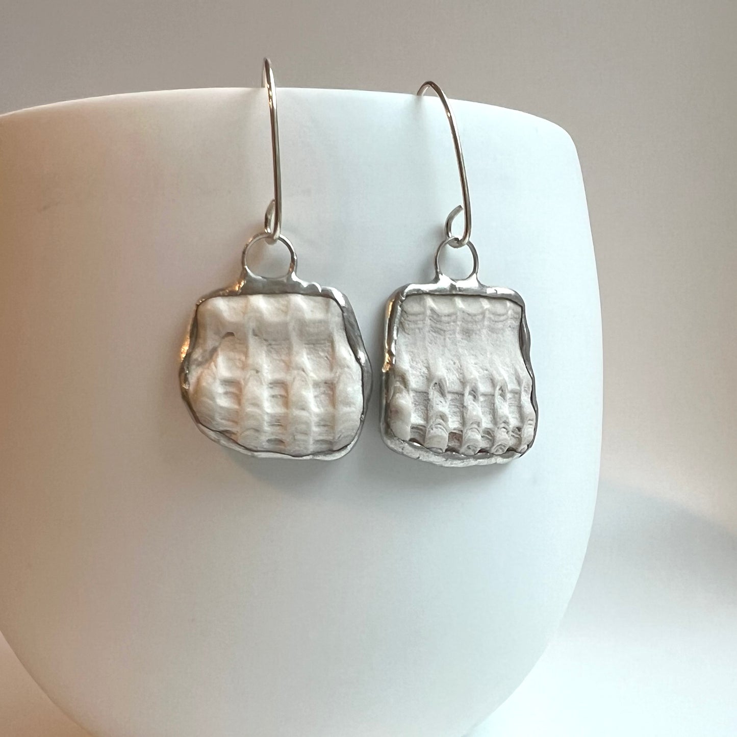 Tiffany Soldered Oregon Coast Shell Fossil Earrings